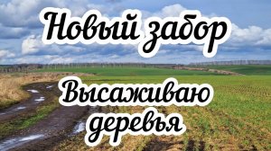 Новый забор  Высаживаю деревья