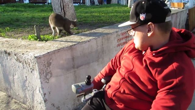 репер а #покорми кота смотреть онлайн