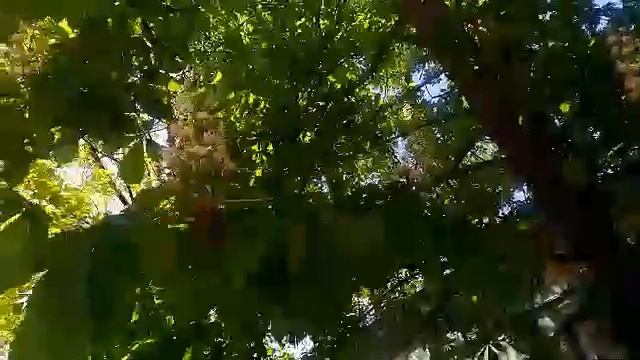 Весна смотреть онлайн