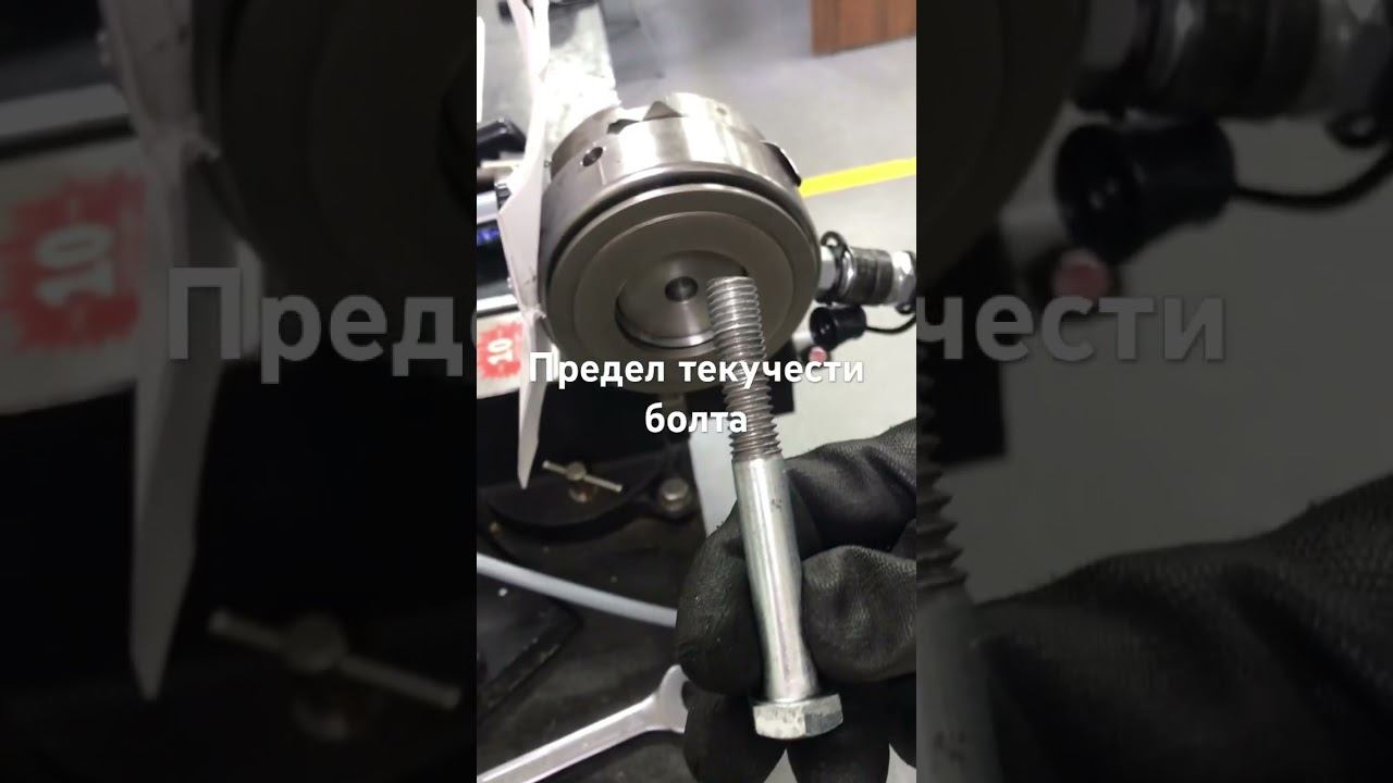 5 November 2024 смотреть онлайн