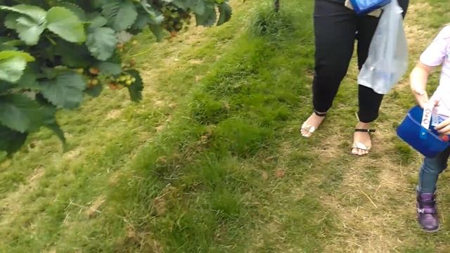 Side park farm. Время собирать урожай смотреть онлайн