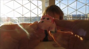 Врум-Врум Поехали! Машинки Врумиз.