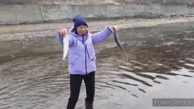 Рыбалка на селедку и красноперку, морепродукты #рыбалка #нерест селедки #морепродукты #морепродукты смотреть онлайн