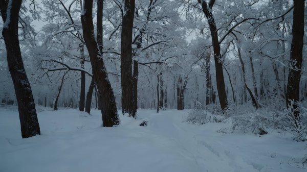 clean shaven - Зимняя серенада