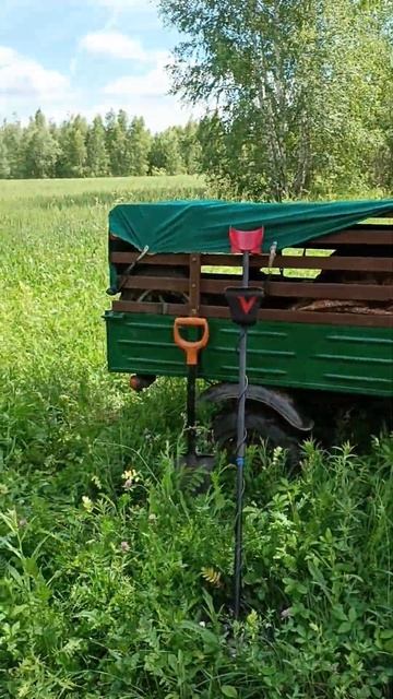 В нужное время в нужном месте! смотреть онлайн