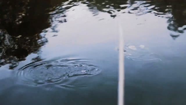 Тимофей Трибунцев. Лосось и кета смотреть онлайн