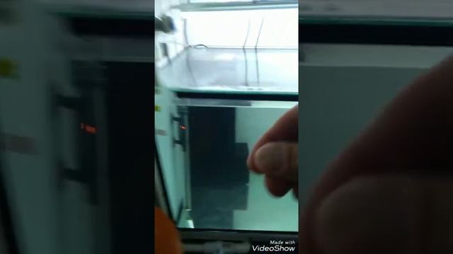 Хранене с гранула за дискуси Day by Day произведена от Discusfood смотреть онлайн