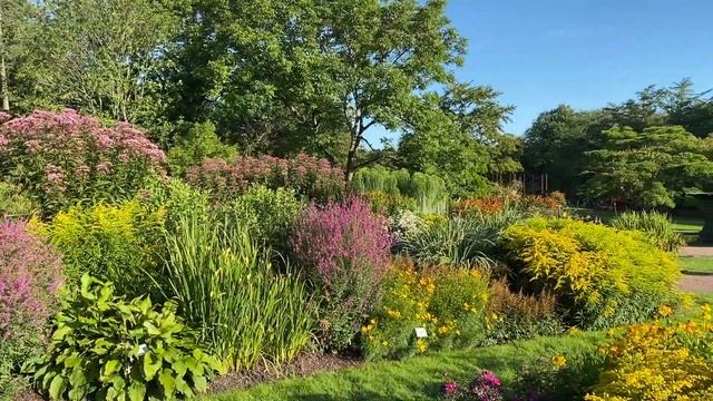 Perennträdgården i Botaniska смотреть онлайн