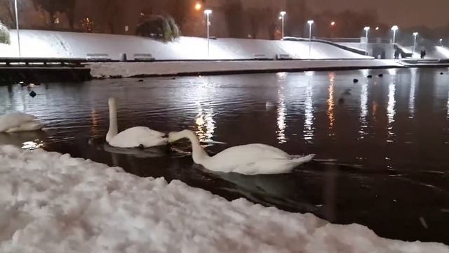 27 декабря 2021 г. смотреть онлайн