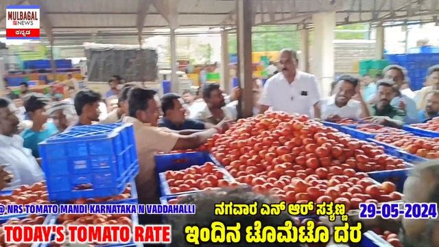 May 29, 2024 TODAYS TOMATO RATE AT NRS TOMATO MANDI KARNATAKA VADDAHALLI смотреть онлайн