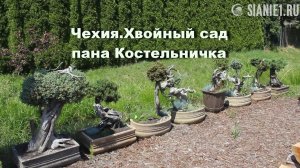 Чехия. Хвойный сад пана Костельничка