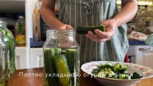 Рецепт ⬇️⬇️⬇️ соленых огурцов прямого посола с горчицей на зиму без уксуса🥒