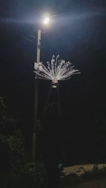 Севастьянова А.