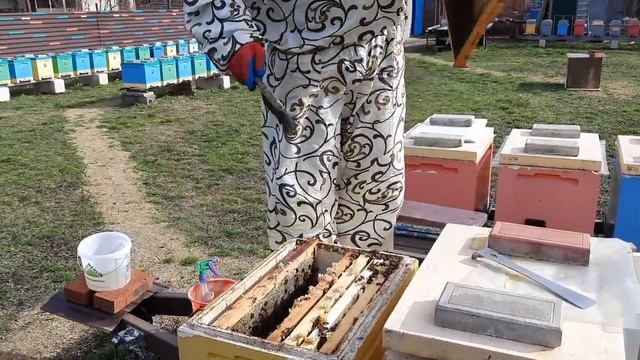 Матки на свободу!!!