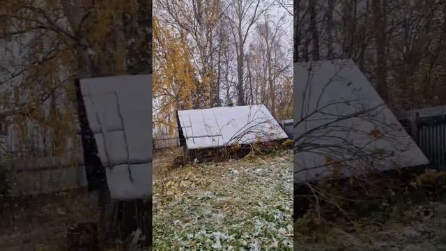 Ну что ж, с первым снегом, друзья!❄️ #снегопад #снег #первыйснег #снежок #стихия #домиквдеревне смотреть онлайн