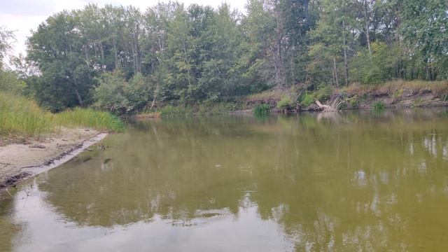VID_20240824_105411 смотреть онлайн