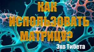 Как использовать настоящую матрицу Гаряева. Трансформируй себя!