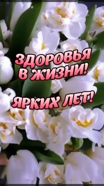 Доброе Утро !!! смотреть онлайн