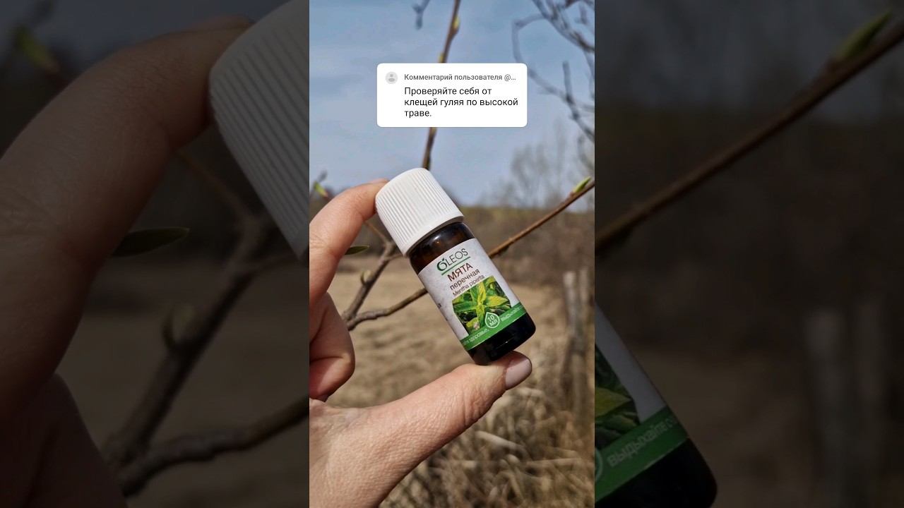 Сезон клещей? #изгородавдеревню #домиквдеревне #вдеревне #клещи смотреть онлайн