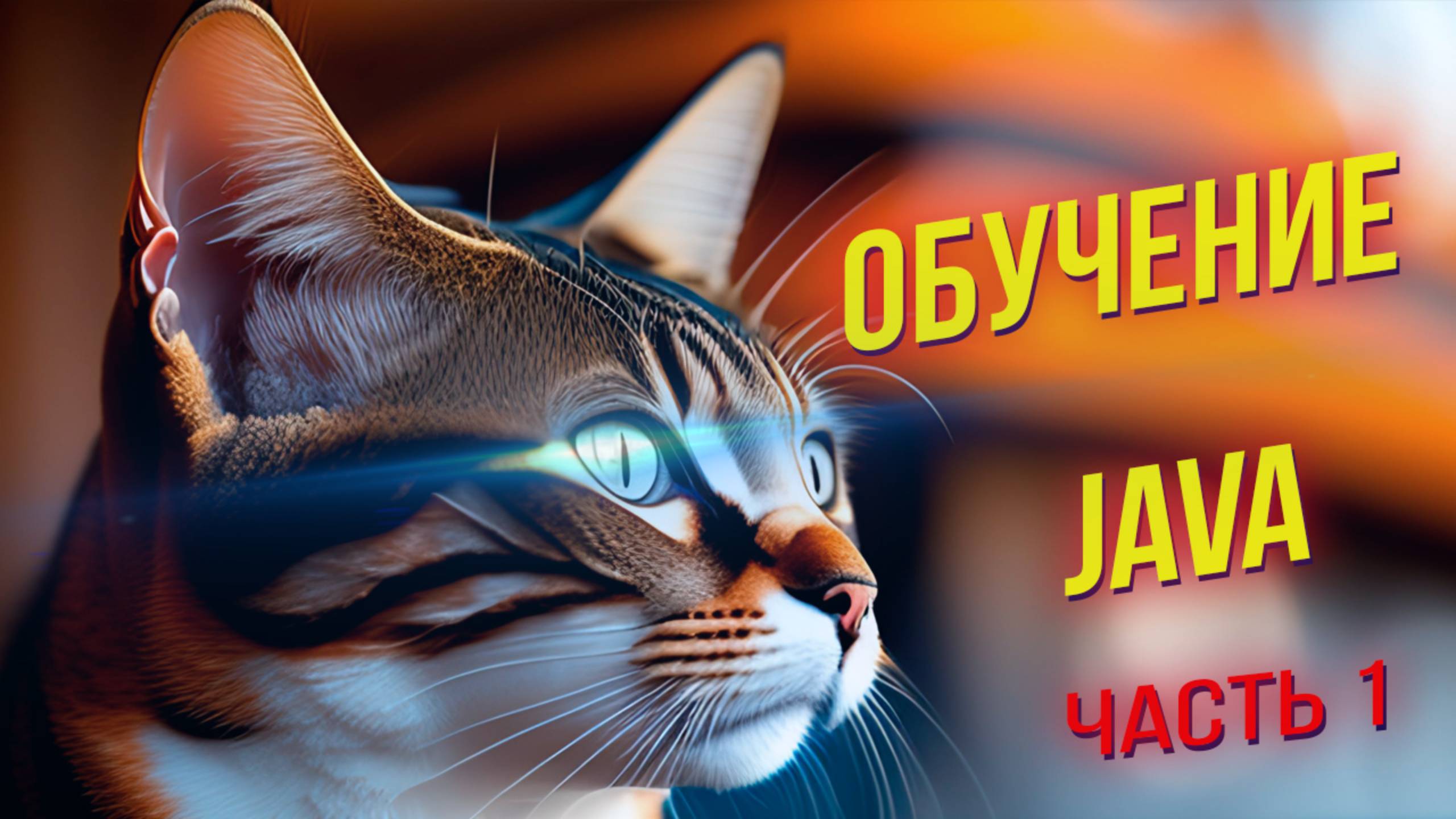 Программирование на Java: Основы и практика. ЧАСТЬ 1 смотреть онлайн