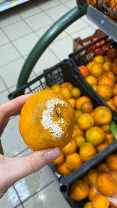 Тухлый МАГНИТ смотреть онлайн