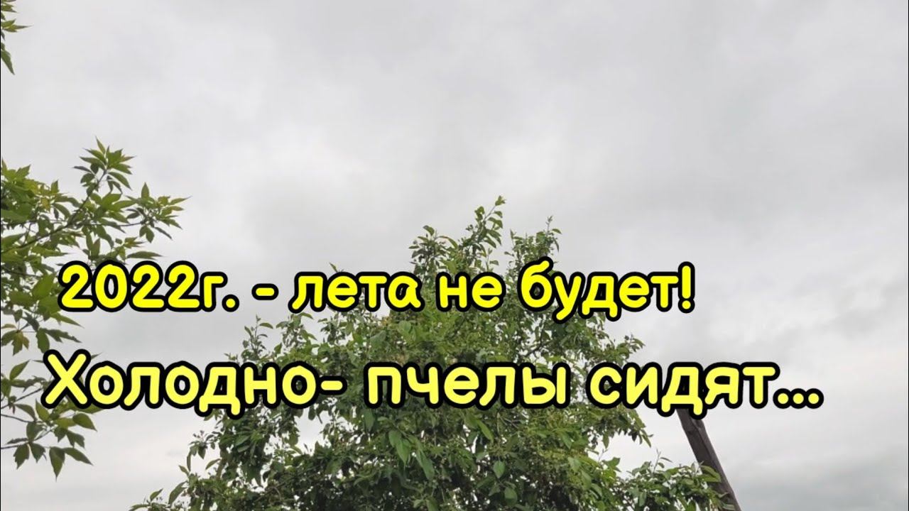 Тепла нет, пчелы сидят, меда нет... Вот и 2022 год. Ждем взяток!!!!