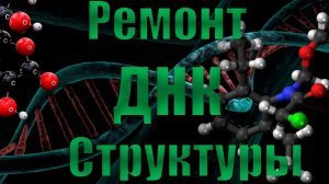 Матрица Гаряева: Ремонт ДНК Структуры