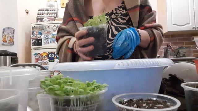 Зря я вас не послушалась , Чуть все не загубила , надеюсь успела смотреть онлайн