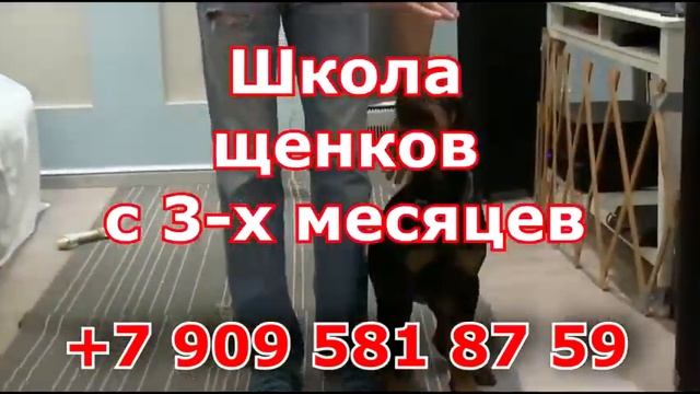 Прайд Осень"20 смотреть онлайн