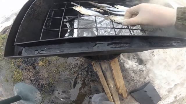 Зеленый мир для размышления