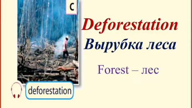 Environmental Problems