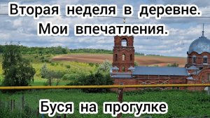 Вторая неделя в деревне. Мои впечатления. Буся на прогулке.