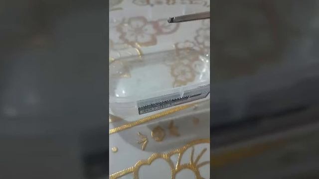 Noemi Villalobos смотреть онлайн