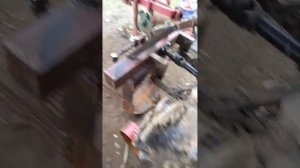 Утиный хвост картофелекопалка