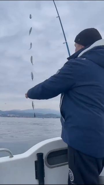 Рыбалка в Сочи на катере #music #remix #dancemusic #серфинг смотреть онлайн