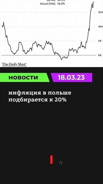 Польша #новости #новость #акции #деньги #news #инвестиции #россия #акция #сша #акций#инфляция#short смотреть онлайн