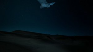 Крошечный мир 2 сезон 6 серия «Дюна» (документальный сериал, 2020)