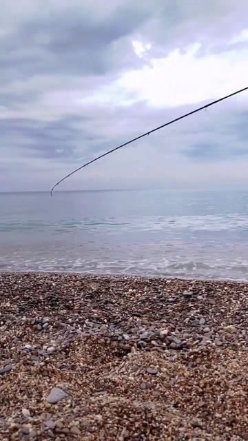 Сарган на пилькер. Рыбалка в Николаевке на Черном море. смотреть онлайн