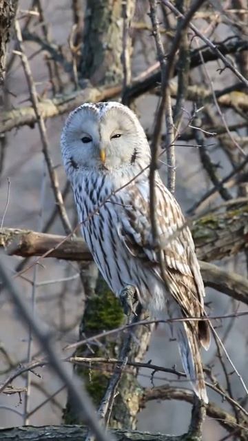 MVI 3890 смотреть онлайн