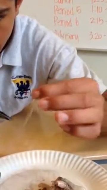 Squid pen смотреть онлайн