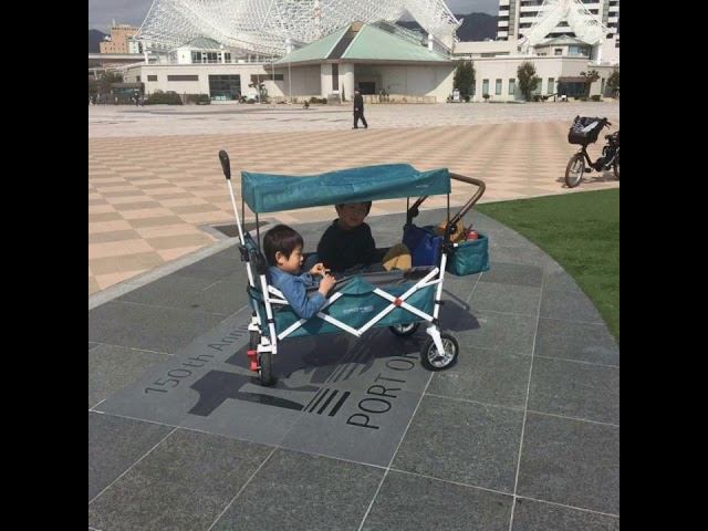 Детская тележка Crotec Wagon от проекта «СмартВеломама»