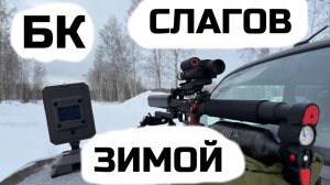 Леший 2 и 12 видов слагов! Вычисляем БК зимой.