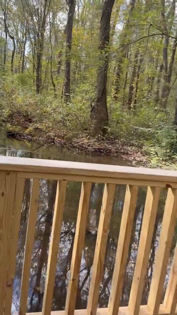#Shorts: UAH Steps to Better Nature Photography Field Lab at Beaverdam Swamp Boardwalk Trail on WNW смотреть онлайн