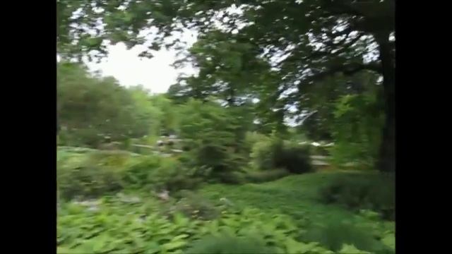 Ленивые каникулы в Гамбурге с Ивашкевич. Выпуск 4. смотреть онлайн