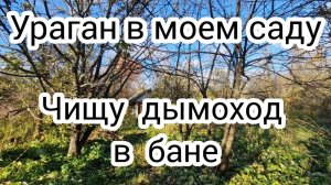 Ураган в моем саду Чищу дымоход в бане. 10.000 подписчиков на моем Ютуб-канале