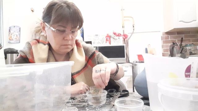 Ответы на вопросы,Название Плитки вы спрашивали , Поливают Орхидейки и болтаю с вами смотреть онлайн