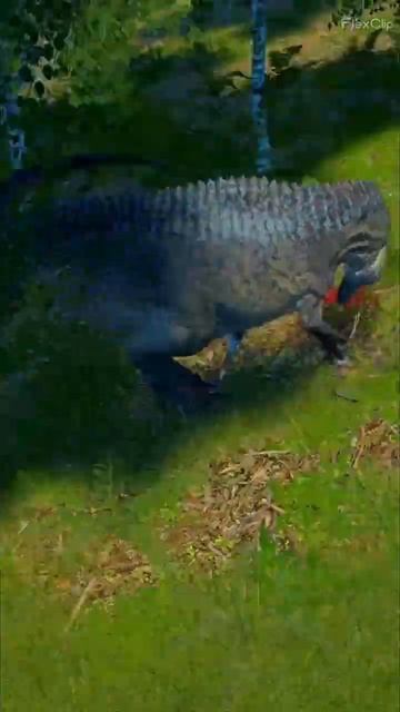 Акро Vs 2 Альба #theisle #game #игра #theislegameplay #динозавры #крутаяигра #dinosaur смотреть онлайн