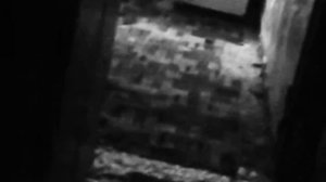 333.333.333 оригинальное видео