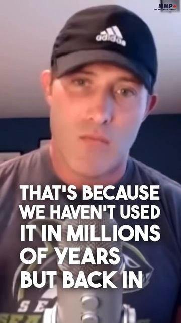 Despite What They Say, You Should NOT Be Eating Fiber смотреть онлайн