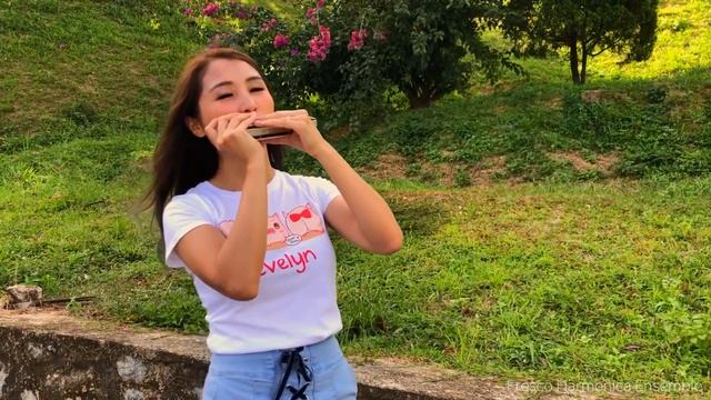 Fresco Harmonica - Chinese New Year Medley 2019 смотреть онлайн